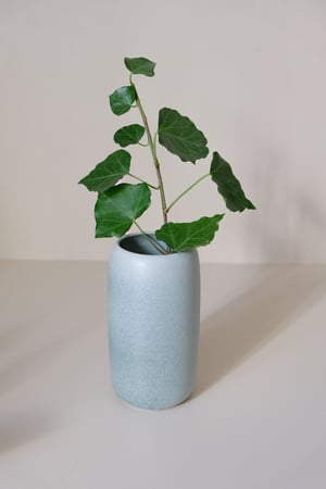 Image of Vase Aquarius