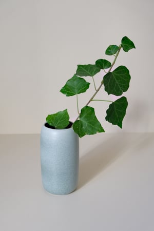 Image of Vase Aquarius