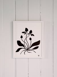 Image 1 of Print - Luonto