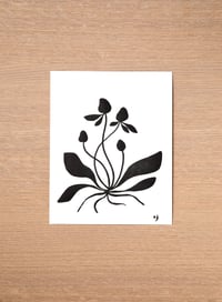 Image 2 of Print - Luonto