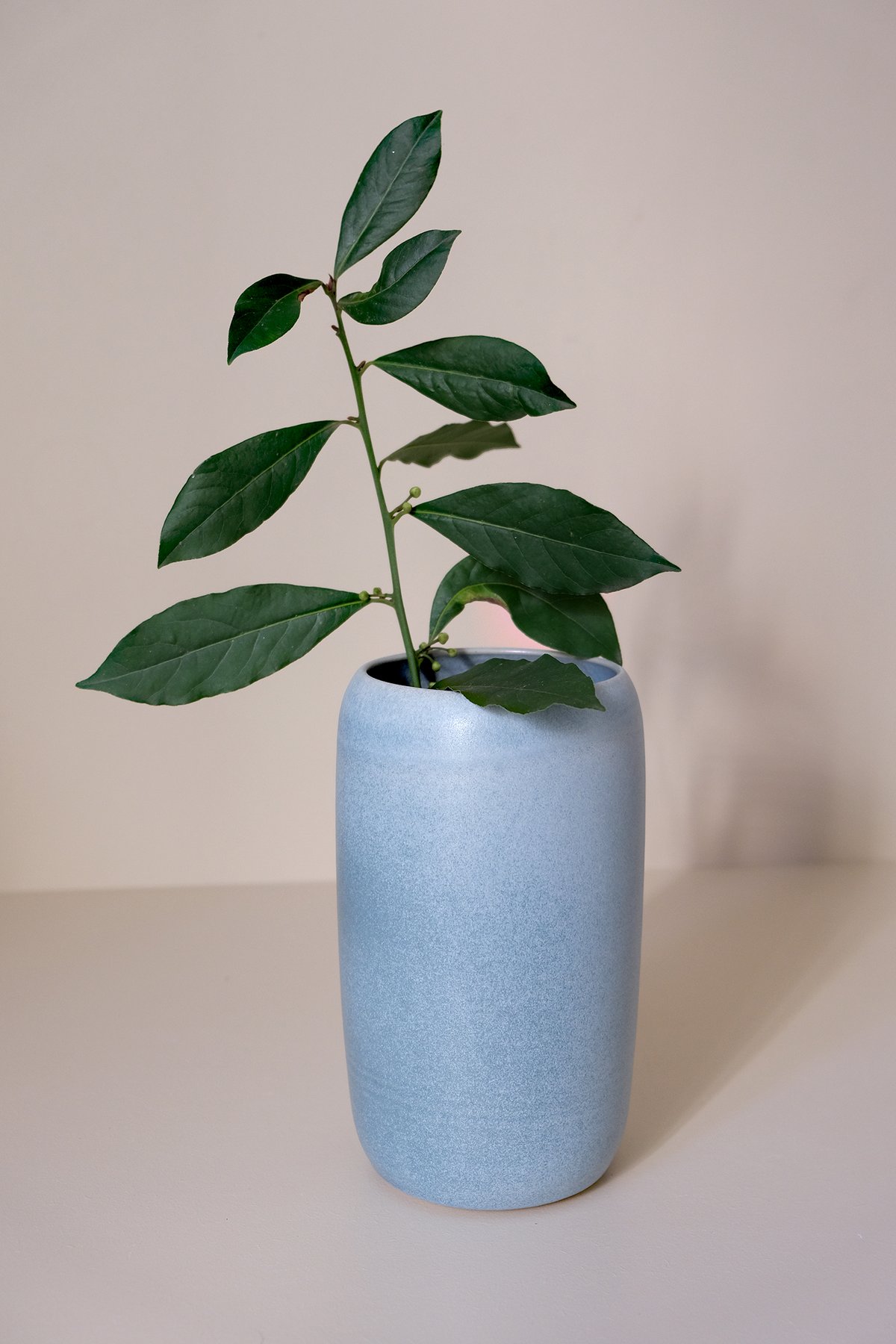 Image of Grand Vase bleu pastel