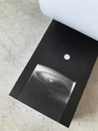 Image 4 of One Milk Drop by Harold "Doc" Edgerton