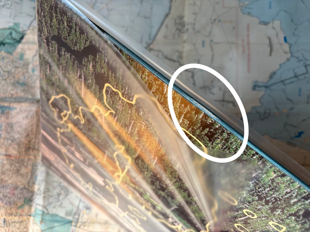 Image of *SLIGHTLY TORN VINYL* (Goose Bumps)