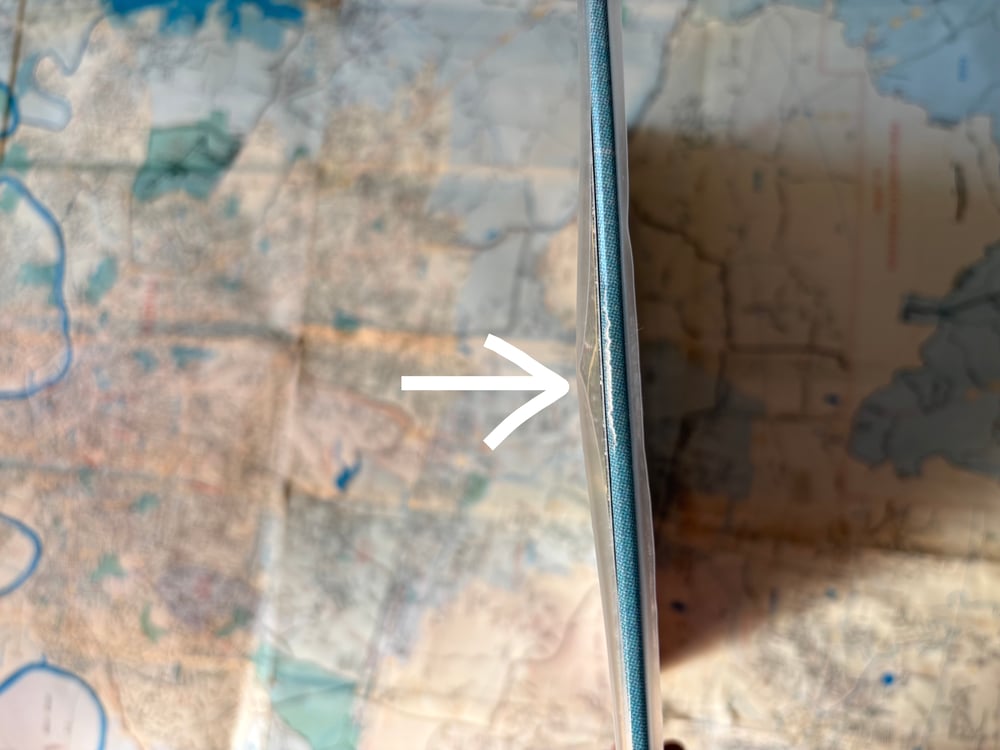 Image of *SLIGHTLY TORN VINYL* (Goose Bumps)