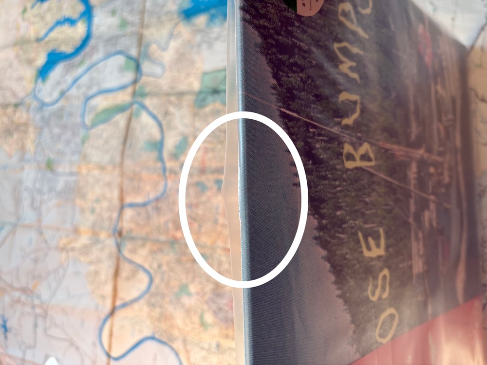 Image of *SLIGHTLY TORN VINYL* (Goose Bumps)