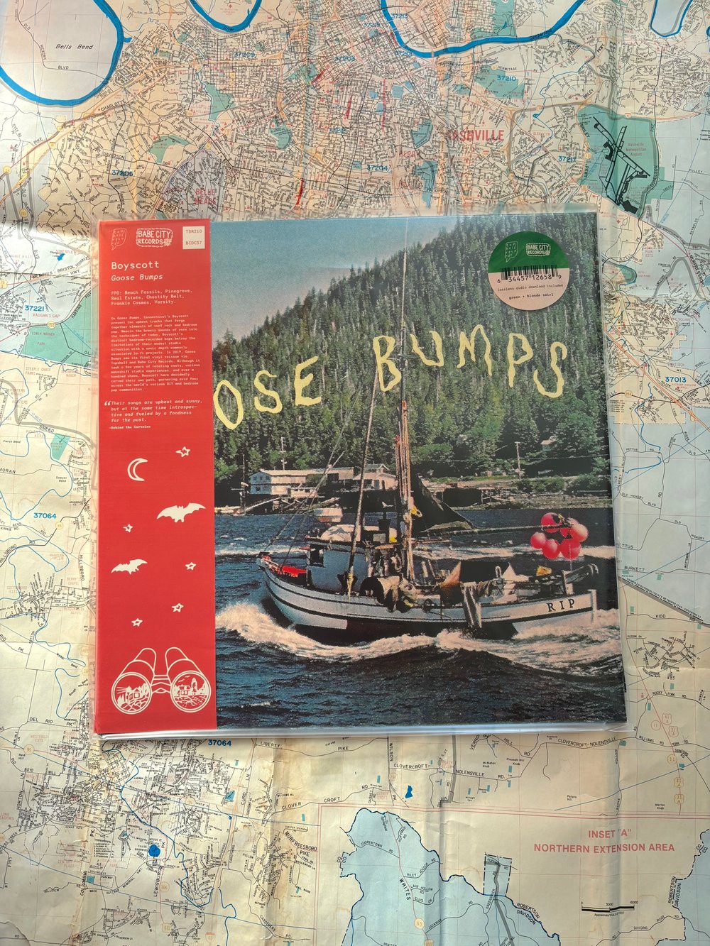 Image of *SLIGHTLY TORN VINYL* (Goose Bumps)