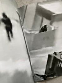 Image 2 of Two Donkeys In A War Zone by CLEMENT LAMBELET