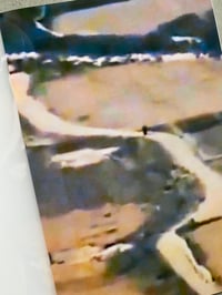 Image 3 of Two Donkeys In A War Zone by CLEMENT LAMBELET