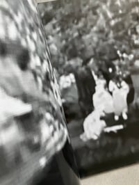 Image 6 of Two Donkeys In A War Zone by CLEMENT LAMBELET