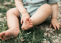 Image 5 of Rustic Road Mini's 2026