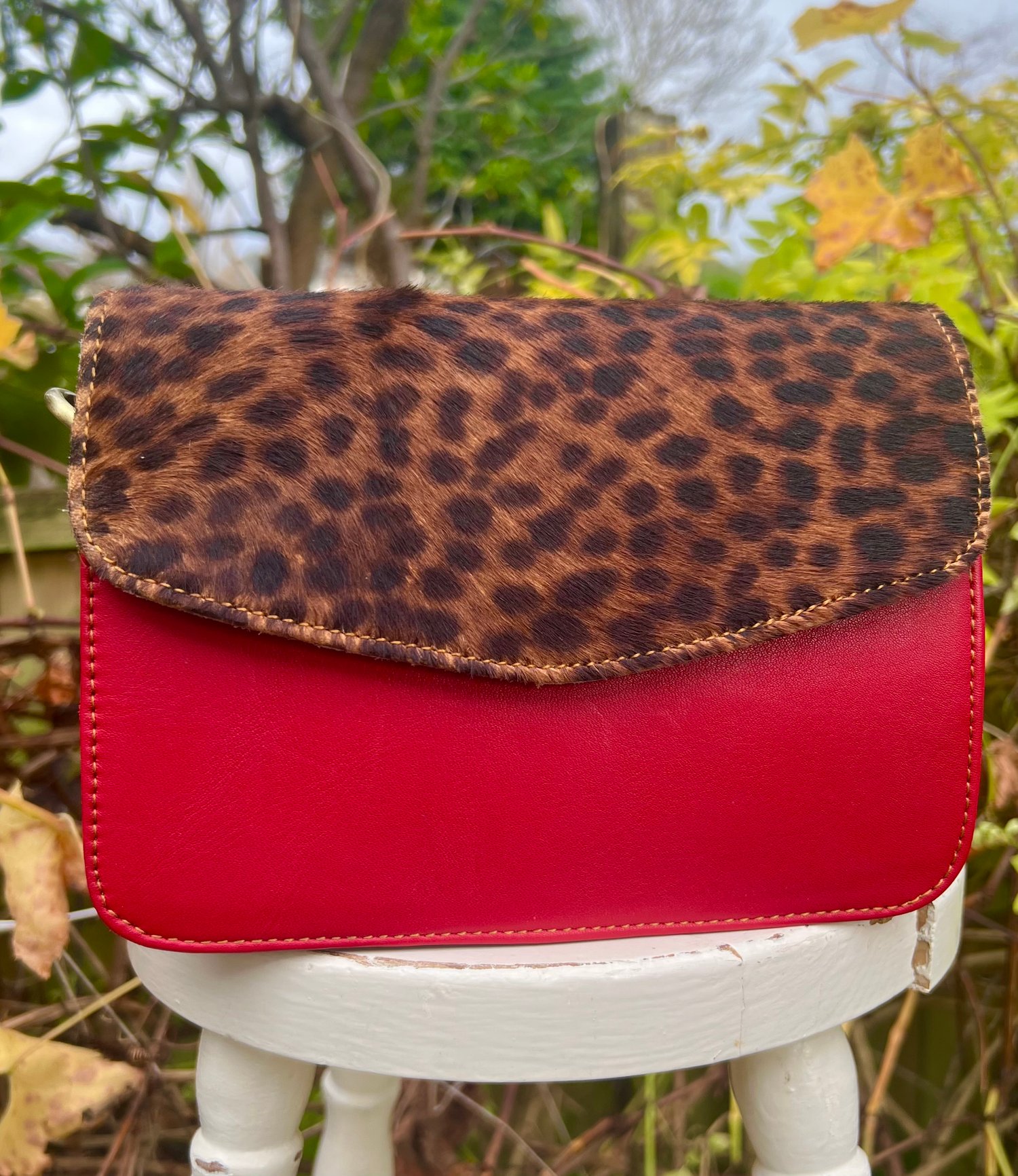 Image of Small Clutch/animal #25C