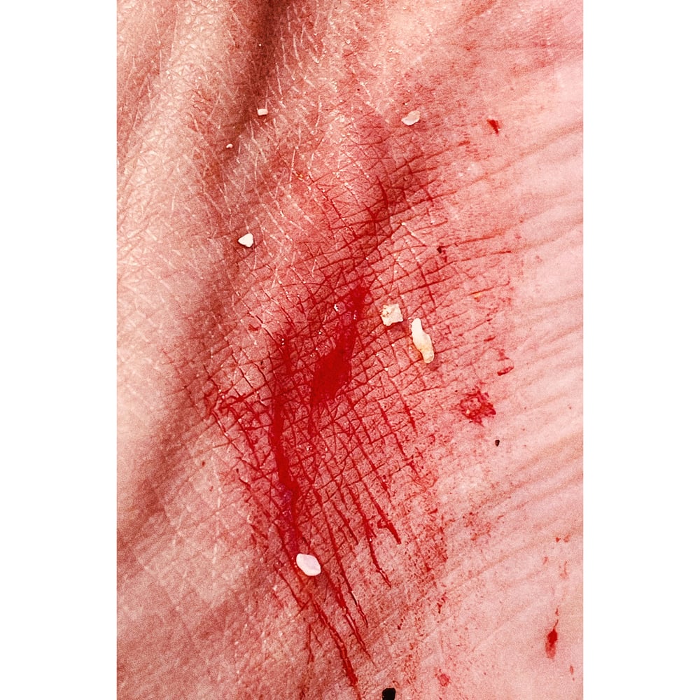 Image of Ferida T-shirt