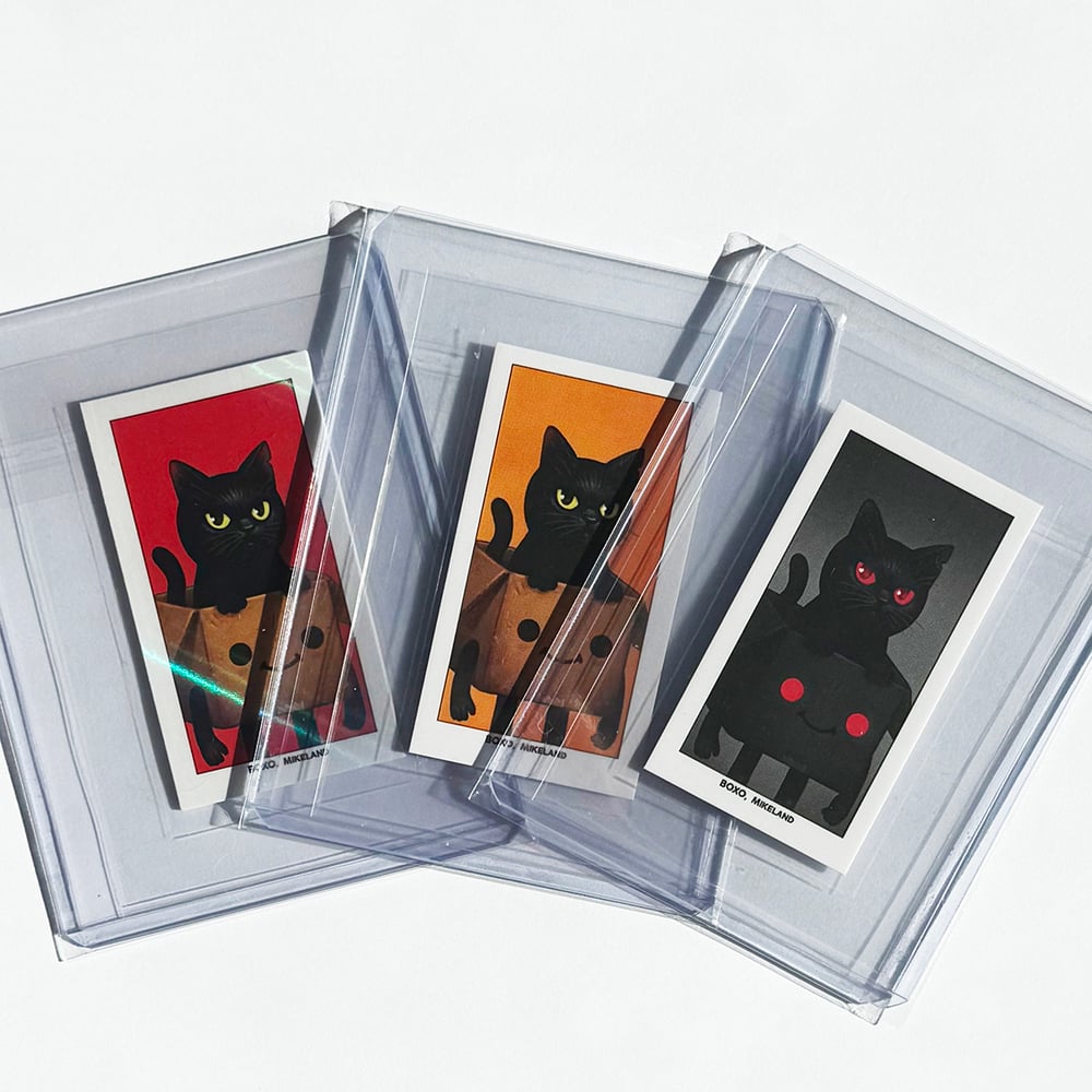 Image of B209 - Pack