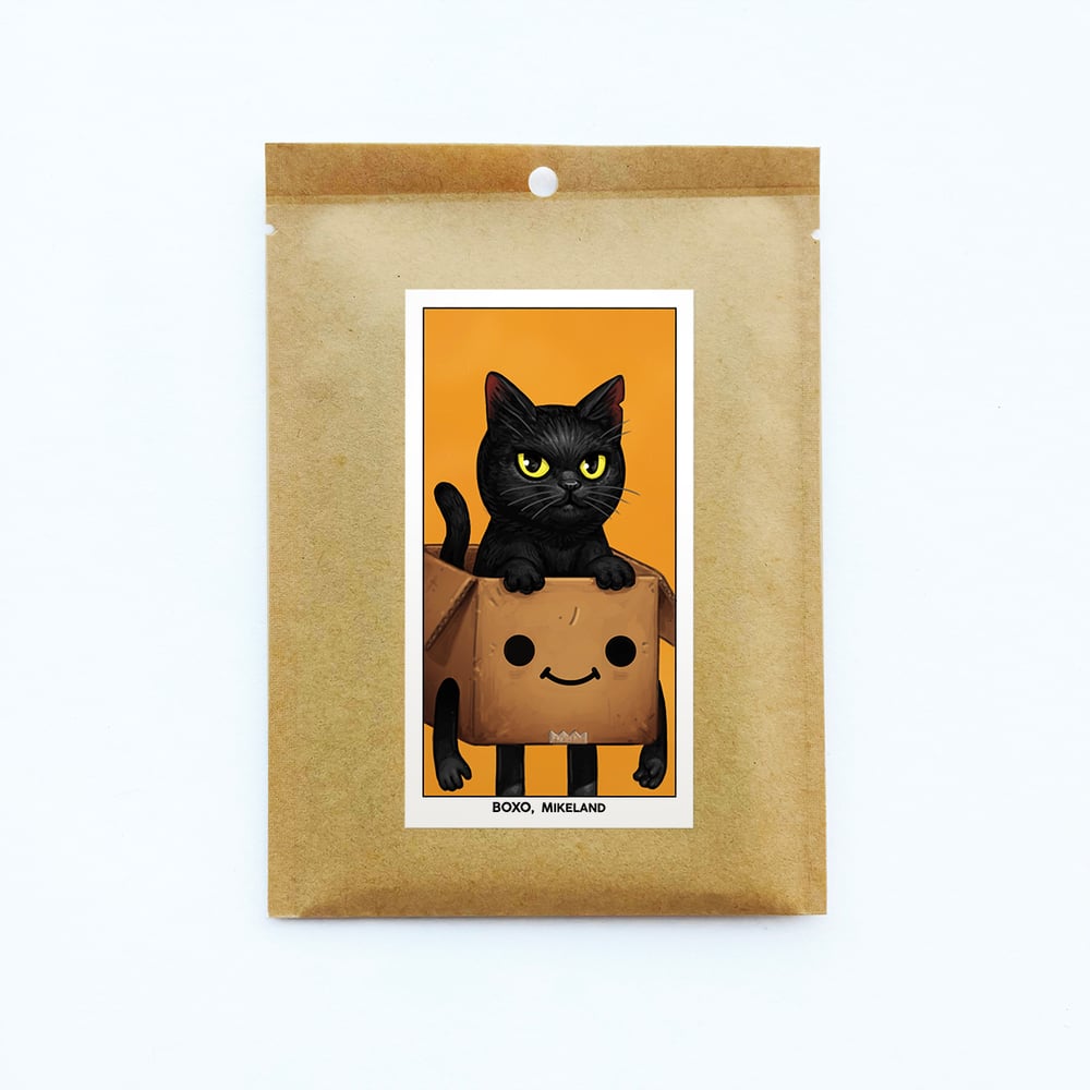 Image of B209 - Pack