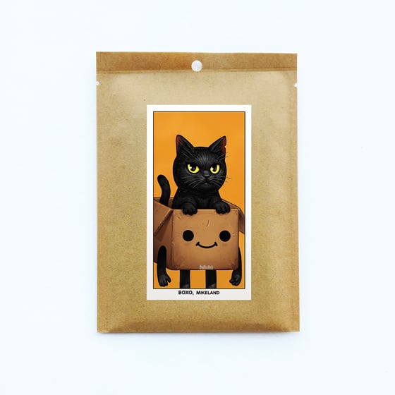 Image of B209 - Pack