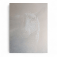 Alberto Ruce - Pecora