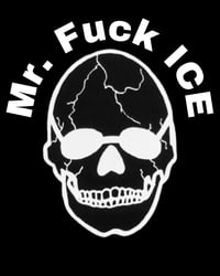 Image 2 of PRE ORDER ONLY!  MR.  Fuck ICE 