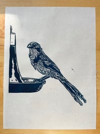 Scrub Jay Linoleum Carving Print