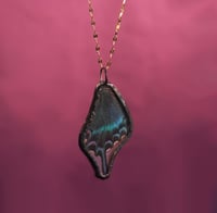 Image 1 of Black alpine butterfly (black patina)
