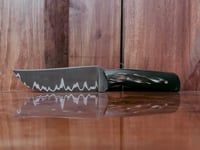 Image 1 of Water Buffalo Cumai Hunter 