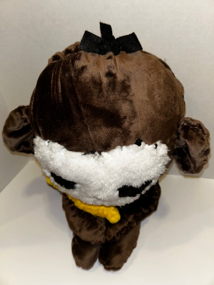 Image of Harold the monkey gibbie