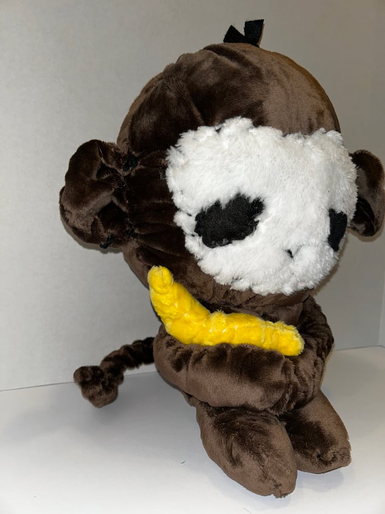 Image of Harold the monkey gibbie