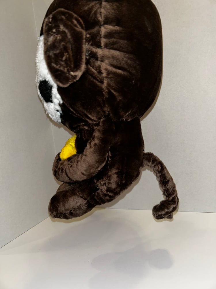 Image of Harold the monkey gibbie