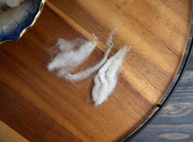 Gulf Coast Native - Washed Fleece