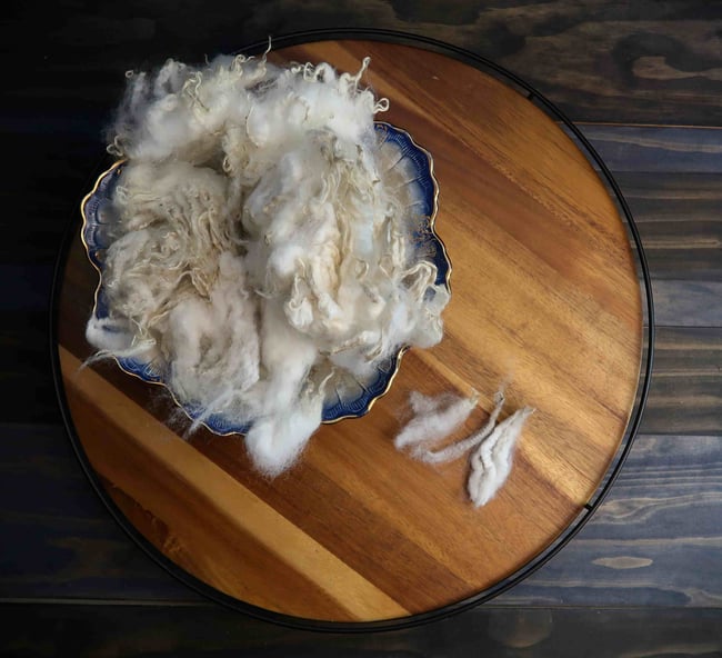 Gulf Coast Native - Washed Fleece