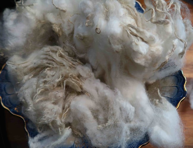 Gulf Coast Native - Washed Fleece