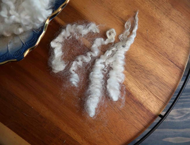 Long Staple Border Leicester - Washed Fleece