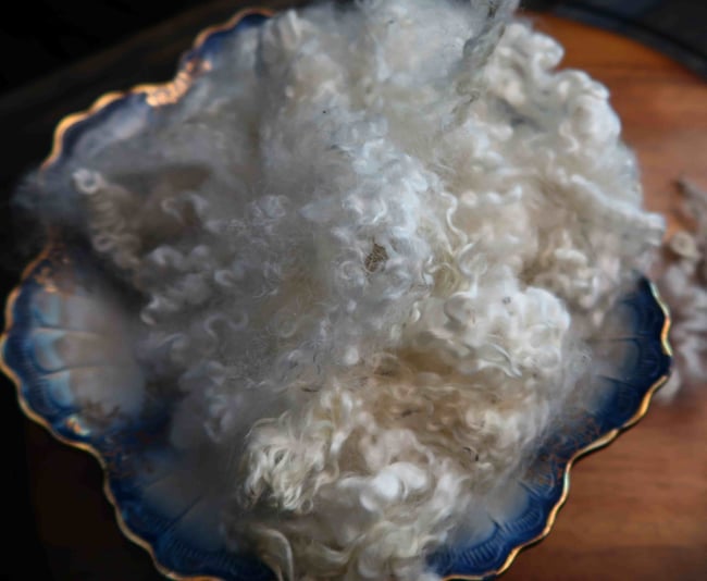 Long Staple Border Leicester - Washed Fleece