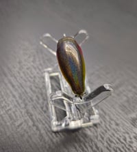 Image 6 of Chamoy  Candy Shad