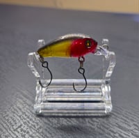 Image 2 of Chamoy  Candy Shad