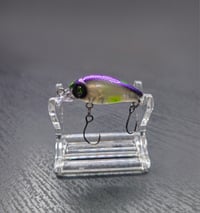Image 5 of Toxic Turquoise - Limited Drop