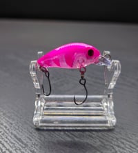 Image 1 of Pretty in Pink - Limited Drop