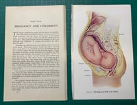 Image 1 of Custom Order Book Page Pencil Cases for Emma