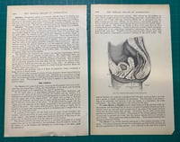 Image 6 of Custom Order Book Page Pencil Cases for Emma