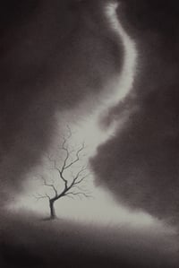 Image 2 of Never find another