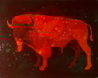 Image 3 of Buffalo Propagation in Space No. 1