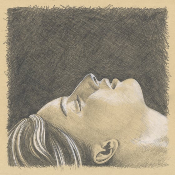 Image of The Watchers