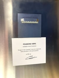 Image 3 of TIRAGE PHOTO Poumonts Verts