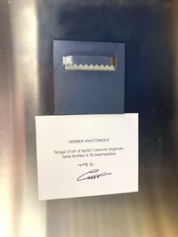 Image 2 of TIRAGE PHOTO Encéphale