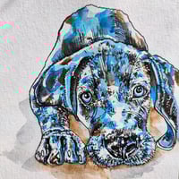 Image 2 of Puppy Weimaraner - Original Artwork 7x5 inches