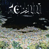 Леший – Почва LP