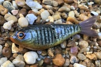 Image 1 of Custom Airbrushed Glide Bait 112