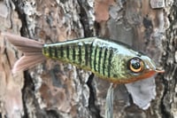 Image 8 of Custom Airbrushed Glide Bait 112