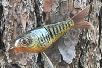 Image 9 of Custom Airbrushed Glide Bait 112