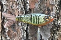 Image 11 of Custom Airbrushed Glide Bait 112