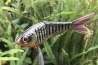 Image 16 of Custom Airbrushed Glide Bait 112